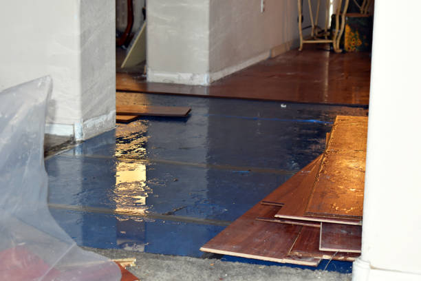 Professional Burst Pipe Cleanup technician working in Fairfield, NC